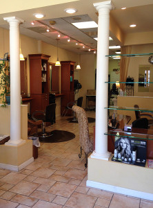 Design V Salon Interior