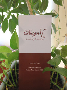 Design V Salon